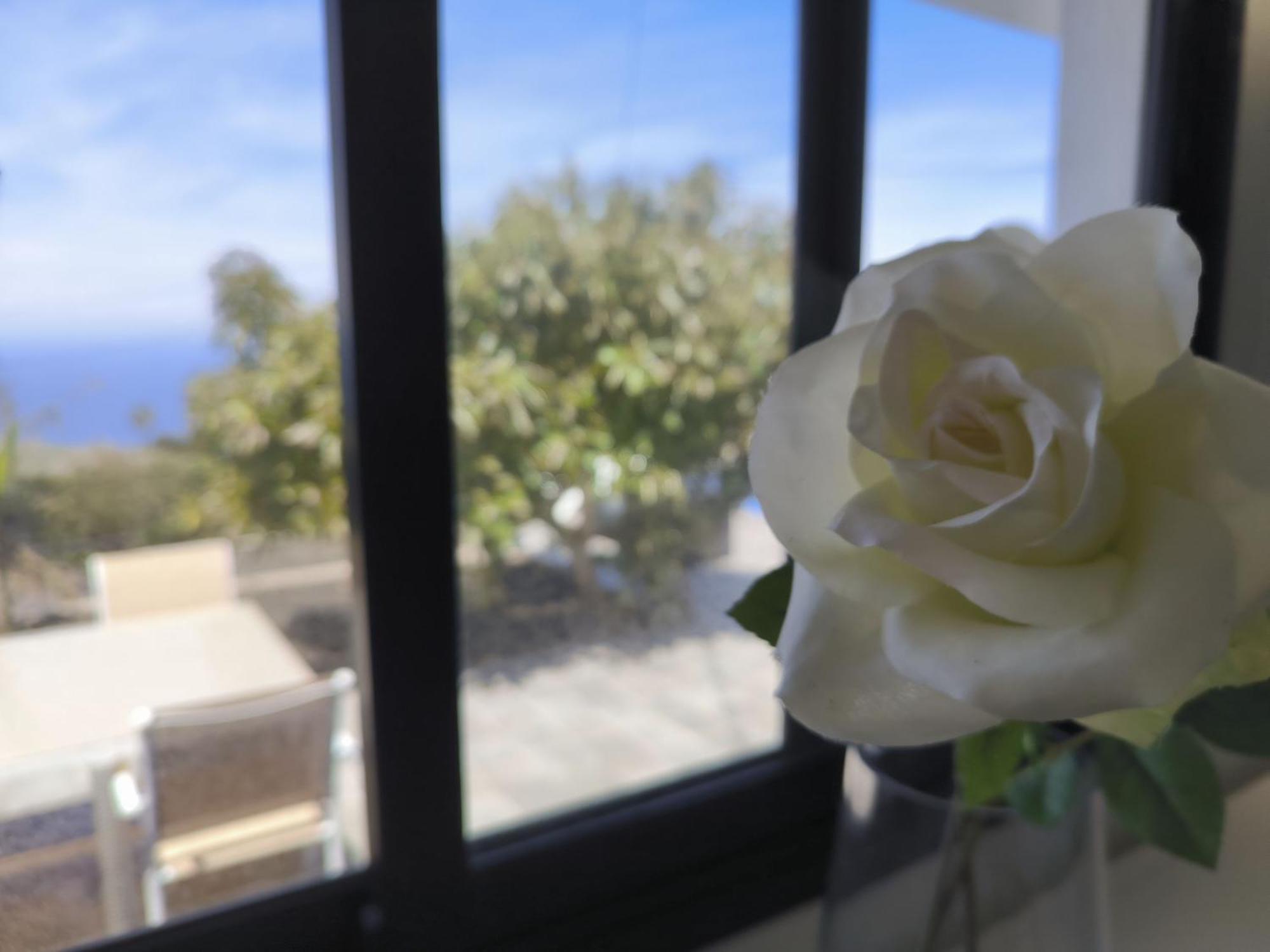 Apartamentos Guayonje Costa Santa Cruz de Tenerife Zewnętrze zdjęcie