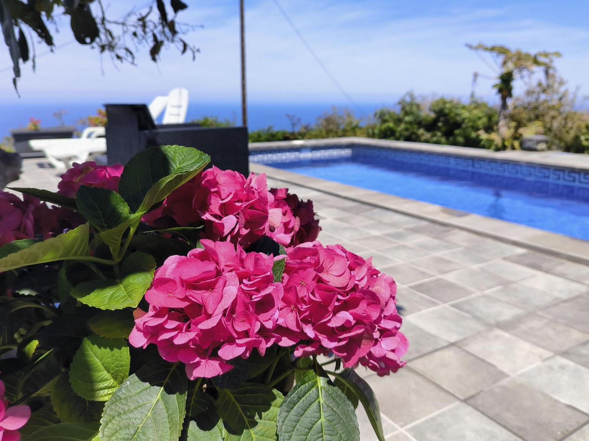 Apartamentos Guayonje Costa Santa Cruz de Tenerife Zewnętrze zdjęcie