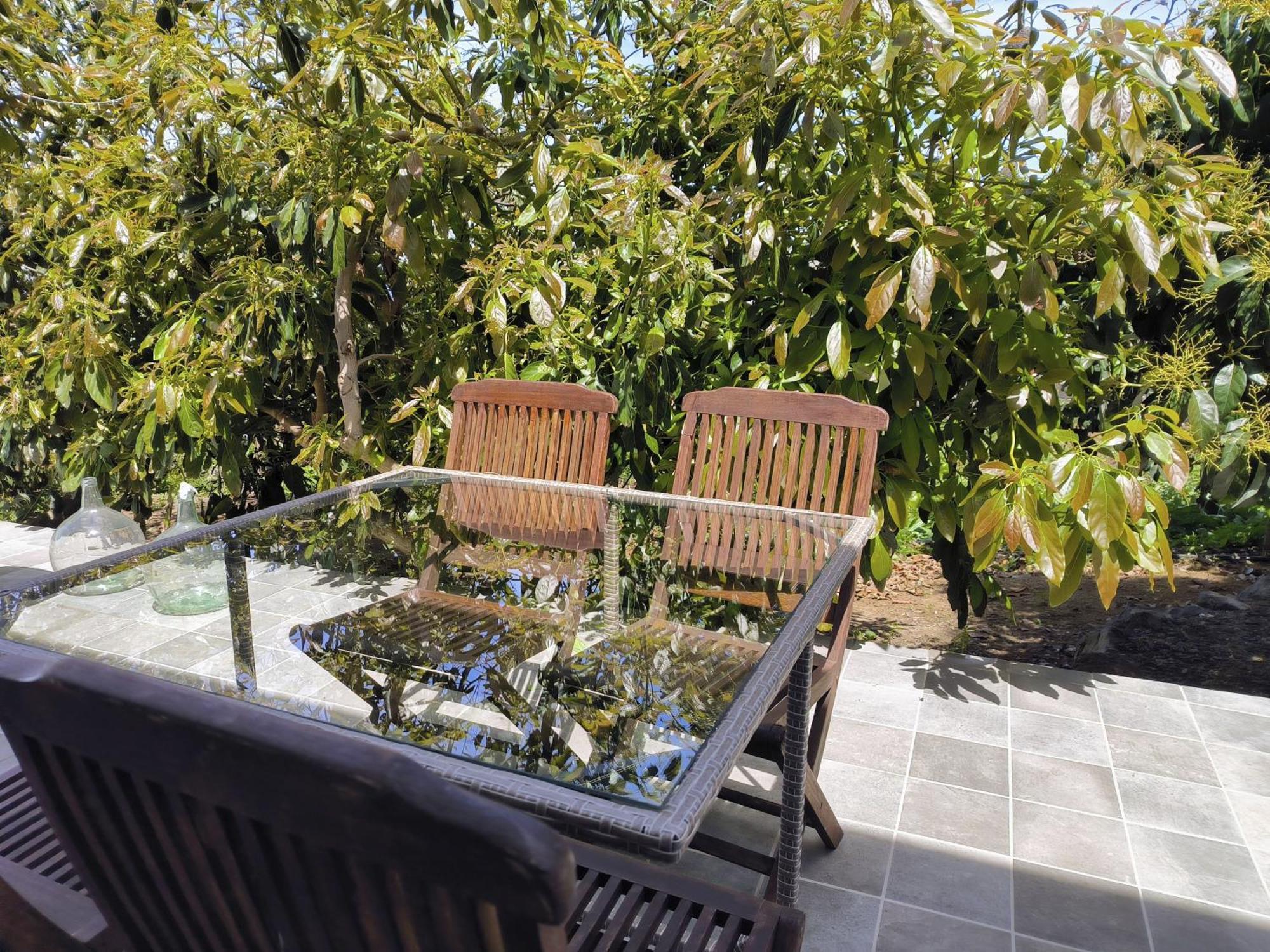 Apartamentos Guayonje Costa Santa Cruz de Tenerife Zewnętrze zdjęcie