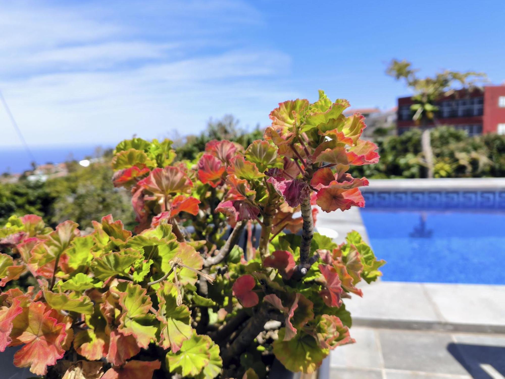 Apartamentos Guayonje Costa Santa Cruz de Tenerife Zewnętrze zdjęcie