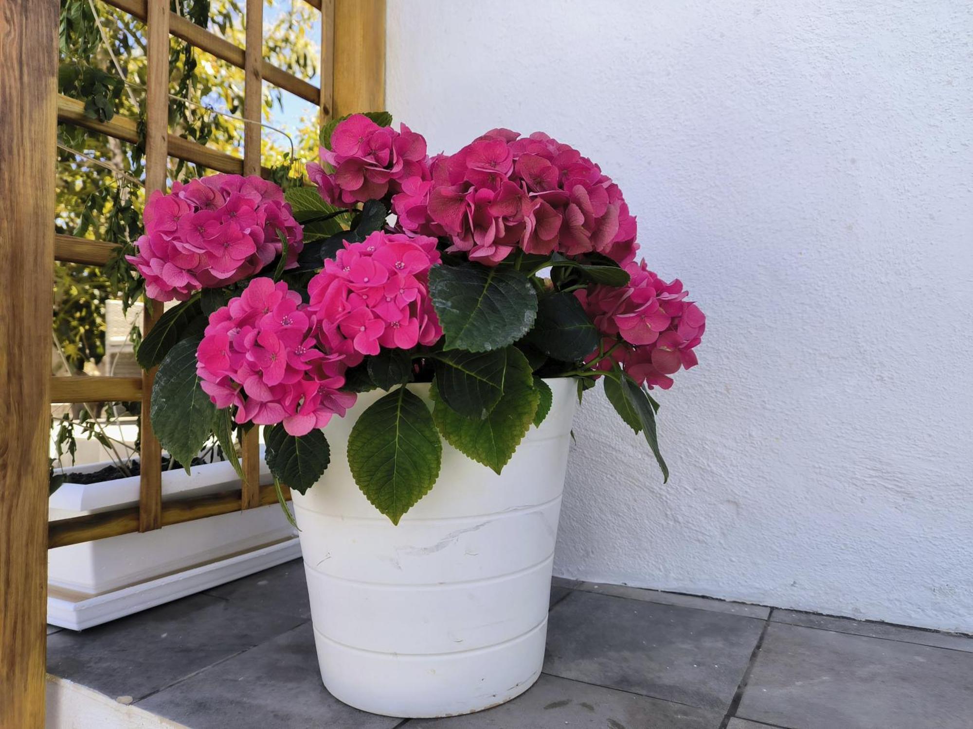 Apartamentos Guayonje Costa Santa Cruz de Tenerife Zewnętrze zdjęcie